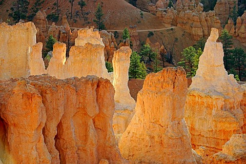 Rock formations and hoodoos in the evening light, Bryce Canyon National Park, Sunset Point, Utah, USA, America