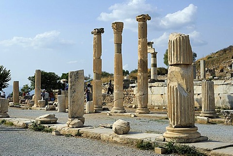 Excavations at Ephesus, Efes, portico of the Roman basilica, Selcuk, Lycia, Southwest Turkey, West Coast, Western Turkey, Turkey, Asia Minor