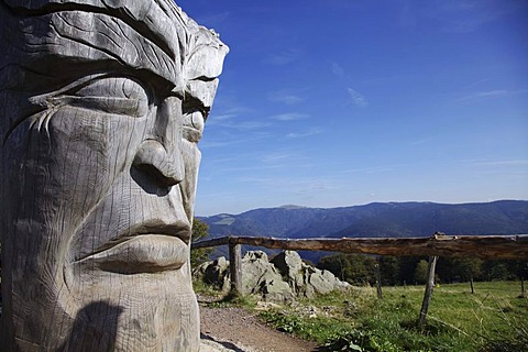 Work of art, carved from an old silver fir tree, 150 years, by artist Thomas Rees on Mt Schauinsland, Black Forest, Baden-Wuerttemberg, Germany, Europe, PublicGround