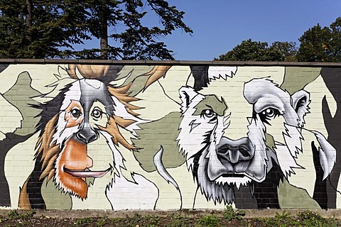 Heads of an orangutan and a wolf as graffiti on the wall of the Cologne Zoo, Cologne, North Rhine-Westphalia, Germany, Europe