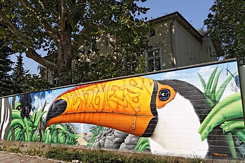 Toco Toucan as a graffiti on the wall of the Cologne Zoo, Cologne, North Rhine-Westphalia, Germany, Europe