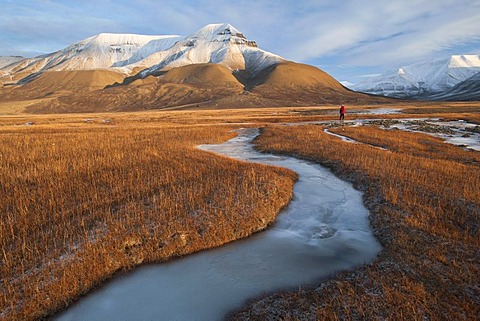 Frozen brook and hiker with Mt Hiorthfjellet at back, Adventdalen, Spitsbergen, Svalbard, Norway, Scandinavia, Europe