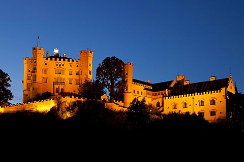 Schloss Hohenschwangau Castle, Allgaeu, Bavaria, Germany, Europe