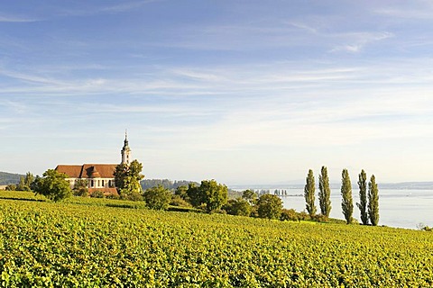 The baroque Pilgrimage Church of Birnau, surrounded by vineyards, Lake Constance, Bodenseekreis district, Baden-Wuerttemberg, Germany, Europe