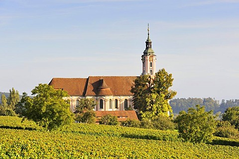 The baroque Pilgrimage Church of Birnau, surrounded by vineyards, Lake Constance, Bodenseekreis district, Baden-Wuerttemberg, Germany, Europe