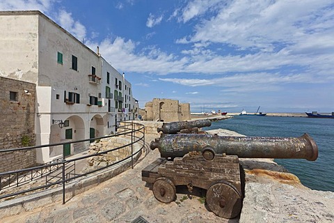 Lungomare Santa Maria with old cannons in front of the Castello Monopoli, Monopoli, Apulia, Southern Italy, Italy, Europe