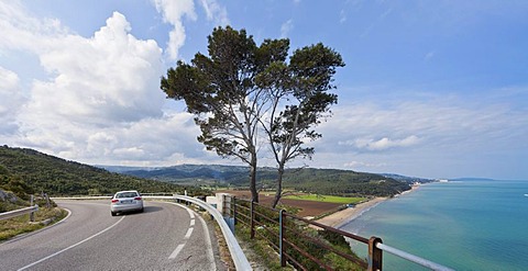 Car driving on a coastal road near Peschici, Foggia province, Apulia, Puglia, Gargano, Adriatic Sea, Italy, Europe