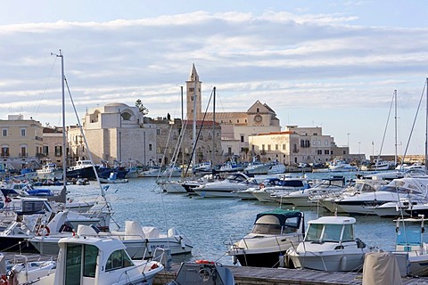 Port of Trani, Cathedral of San Nicola Pellegrino at the rear, Marine Cathedral, Trani, Apulia, Southern Italy, Italy, Europe