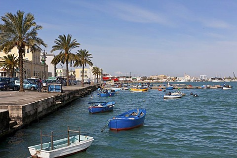 Boats in the port of Molfetta, Apulia, Puglia, Southern Italy, Italy, Europe