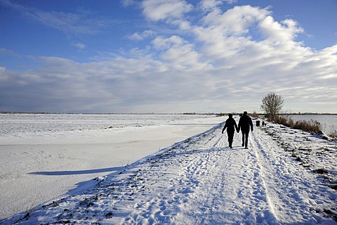 Couple walking in the snow, Reeuwijkse Plassen nature reserve in winter, landscape between Gouda and Bodegraven, Reeuwijk, Holland, The Netherlands, Europe