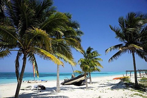 Beach with palm trees, Cayo Levisa island, Pinar del Rio province, Cuba, Greater Antilles, Gulf of Mexico, Caribbean, Central America, America