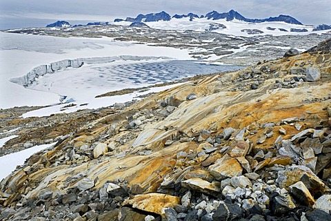 Ochre-coloured rocks, Mittivakkat Glacier, Ammassalik peninsula, East Greenland, Greenland