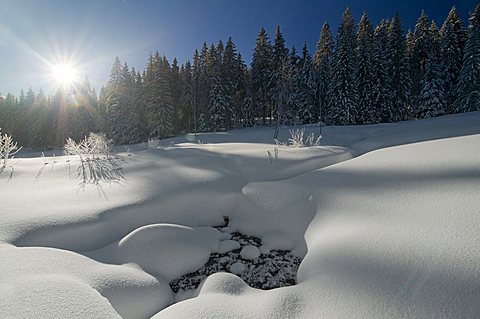 Snow-covered clearing with sun and blue sky, in the morning, Black Forest, Baden-Wuerttemberg, Germany, Europe