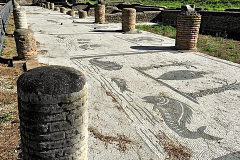 Mosaic floor in front of row of shops in the Piazzale delle Corporazioni, Square of the Guilds or Corporations, Ostia Antica archaeological site, ancient port city of Rome, Lazio, Italy, Europe