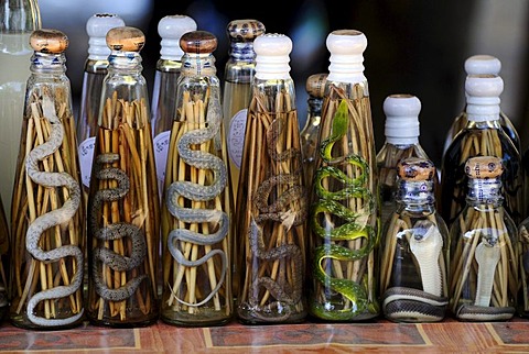 Cobras and other dead snakes in bottles of liquor, Laos, Southeast Asia, Asia