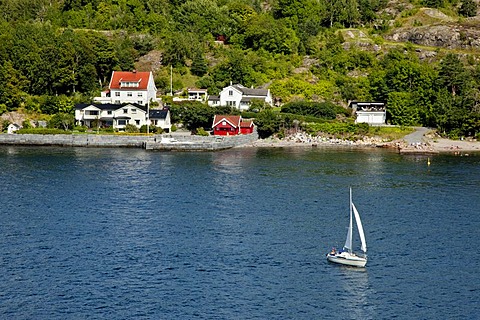 Sailboat in Oslo Fjord, South Norway, Norway, Scandinavia, Europe