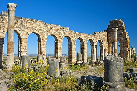 Basilica, Roman ruins, ancient city of Volubilis, UNESCO World Heritage Site, Morocco, North Africa, Africa