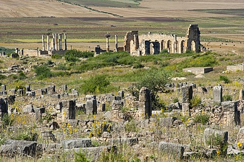 Roman ruins with the basilica, ancient city of Volubilis, UNESCO World Heritage Site, Morocco, North Africa, Africa