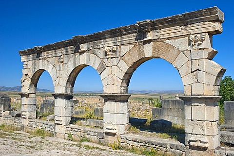 Roman ruins, ancient city of Volubilis, UNESCO World Heritage Site, Morocco, North Africa, Africa