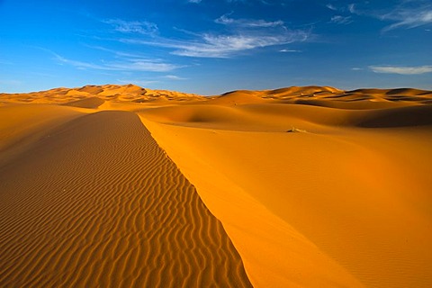 Sand dunes, Erg Chebbi, South Morocco, Morocco, Africa