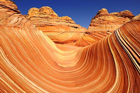 The Wave, banded eroded Navajo sandstone rocks with Liesegang Bands, Liesegangen Rings, or Liesegang Rings, North Coyote Buttes, Paria Canyon, Vermillion Cliffs National Monument, Arizona, Utah, USA