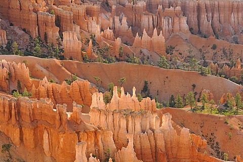 Rock formations, Queen Victoria, in the evening light, Queens Garden Trail, Sunset Point, Bryce Canyon National Park, Utah, United States of America, USA