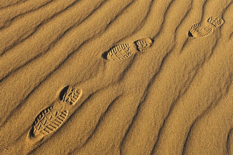 Footprints in the sands of the Mesquite Flat Sand Dunes, Stovepipe Wells, Death Valley National Park, Mojave Desert, California, United States of America, USA