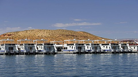 House boats for hire are moored in the harbour of Antelope Point Marina with Tower Butte at back, Lake Powell, Wahweap Marina, Glen Canyon National Recreation Area, Page, Arizona, United States, USA