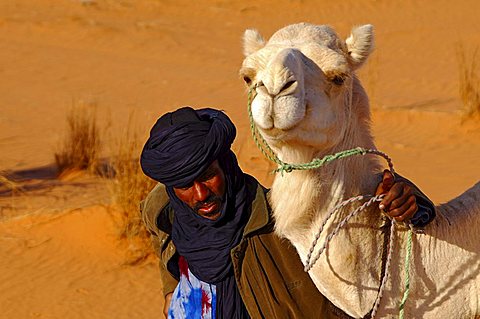 Tuareg nomade with white Mehari dromedary, Acacus Mountains, Libya