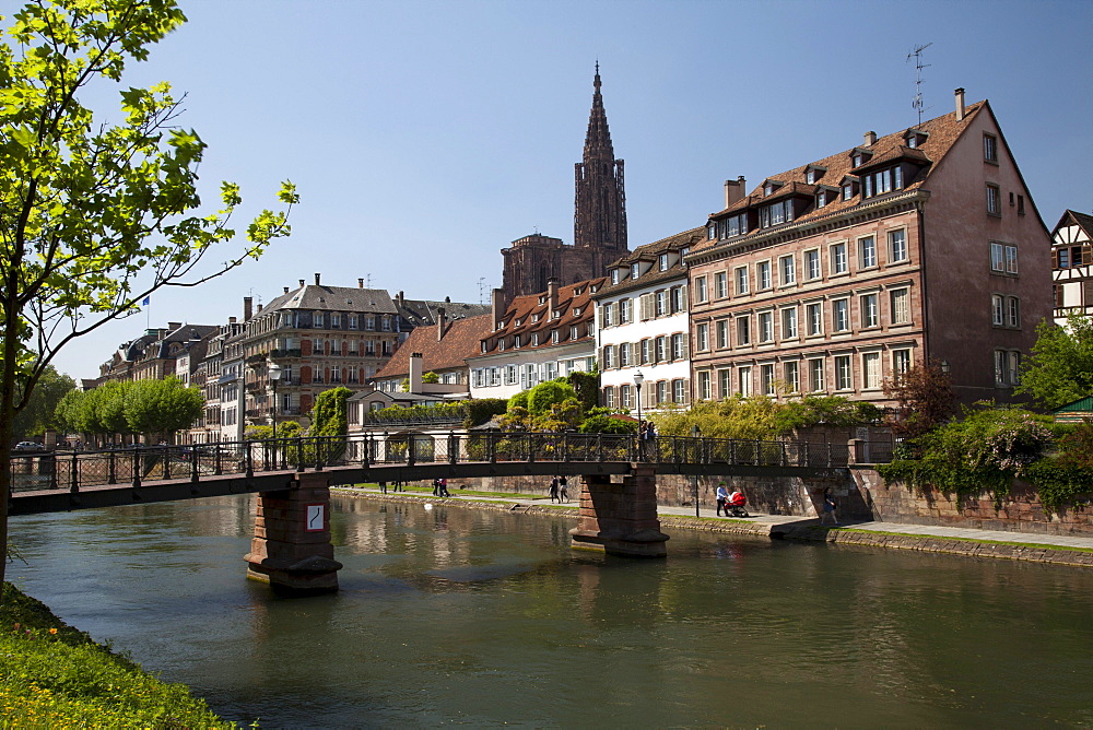 Old town and Strasbourg Cathedral on the Ill river promenade, Unesco World Heritage Site, Strasbourg, Alsace, France, Europe