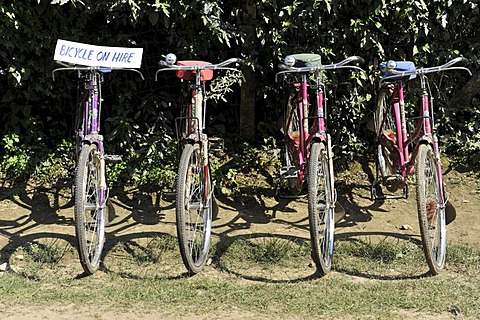 Bicycle rental, Chitwan National Park, Nepal, Asia