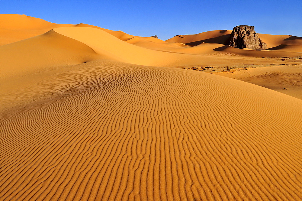 Rock formation in the dunes of Moul N'Aga, Tadrart, Tassili n'Ajjer National Park, Unesco World Heritage Site, Algeria, Sahara, North Africa