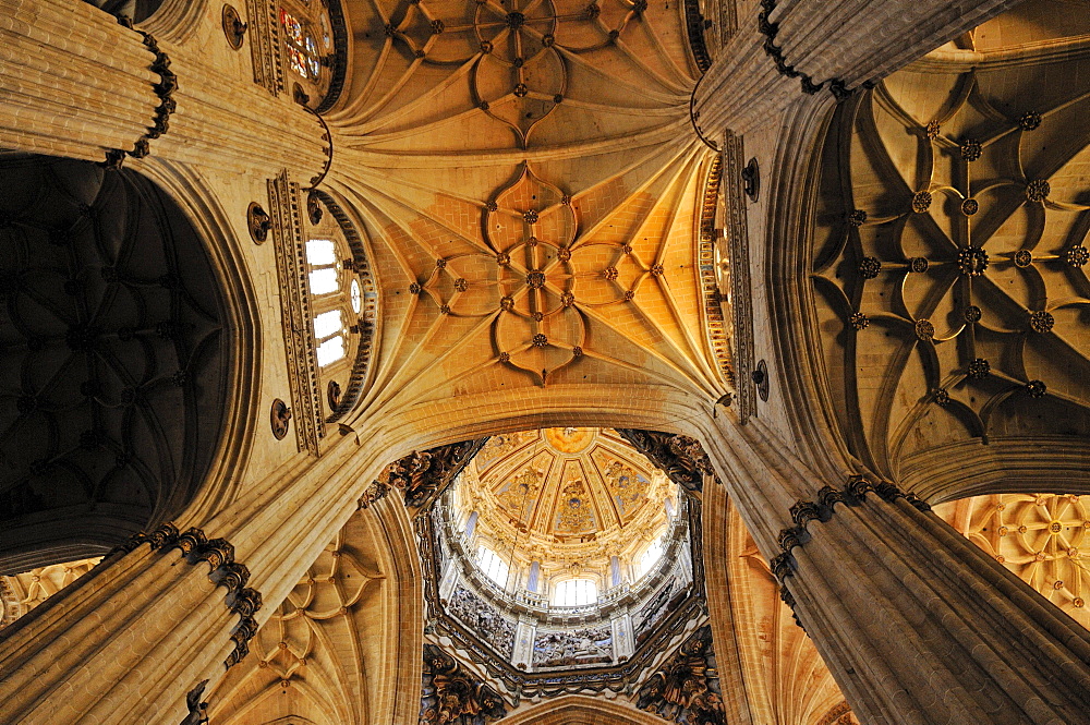 Interior of the gothic Cathedral of Salamanca, Unesco World Heritage Site, Castile and Leon, Castilia y Leon, Spain, Europe