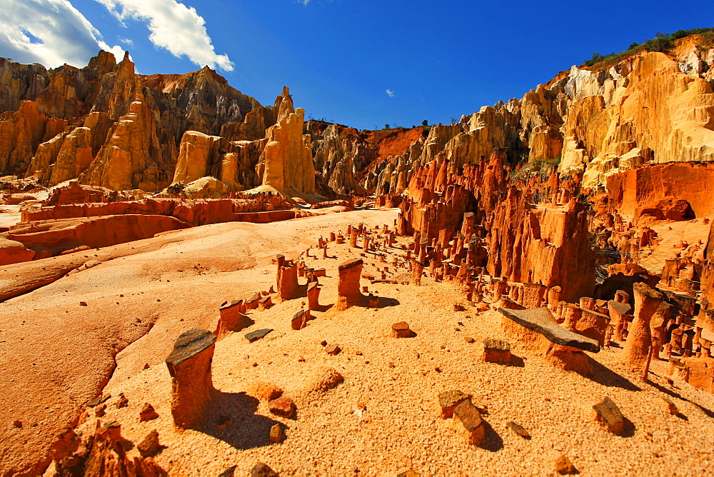 Sandstone gorge of the Ambalabongo canyon, Ankarafantsika, Madagascar, Africa, Indian Ocean