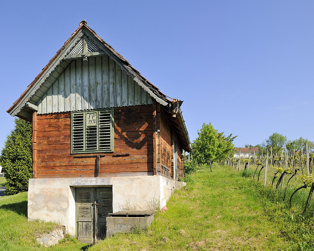 Wine grower's house on Csaterberg mountain, Kohfidisch, Burgenland, Austria, Europe