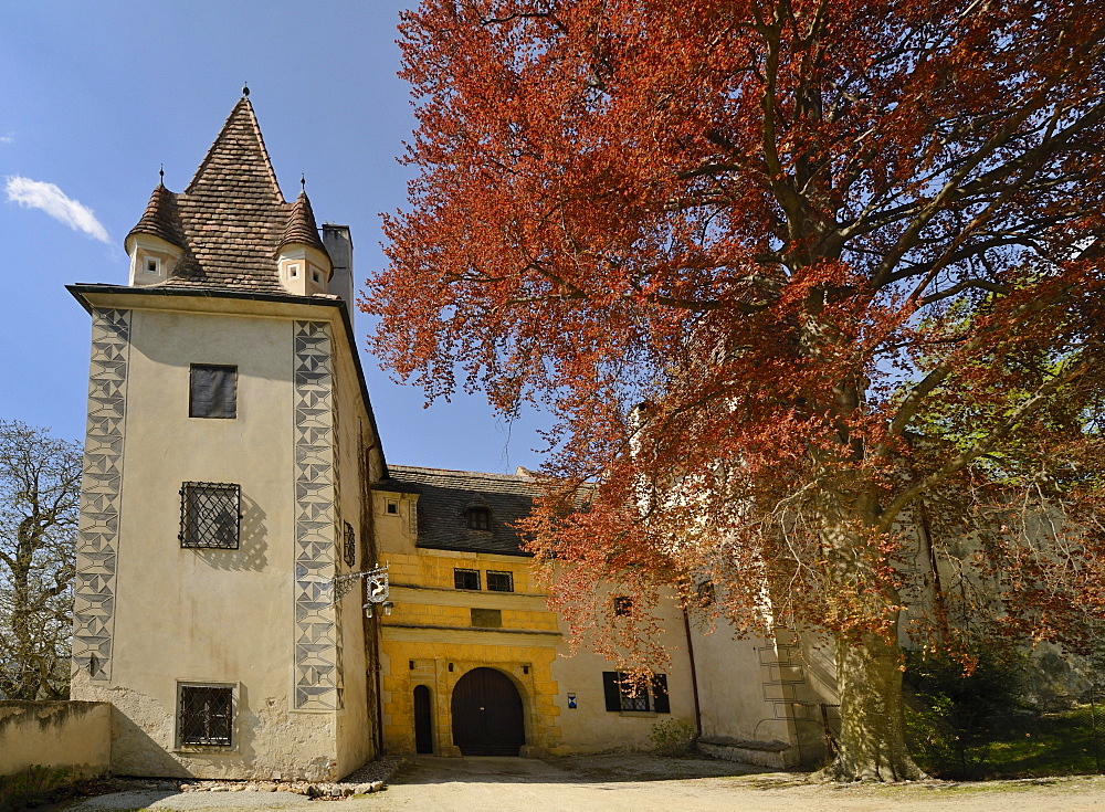 Schloss Steyerberg castle, Warth community, Lower Austria, Austria, Europe