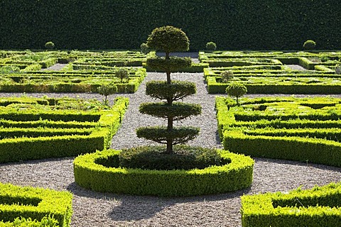 The sunken garden, boxwood hedges, park of Enghien, Province of Hainaut, Walloon Region or Wallonia, Belgium, Europe