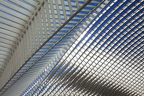 Detailed view of the roof of the station concourse, Gare de Liege-Guillemins railway station, architect Santiago Calatrava, Liege, Luik, Wallonia, Belgium, Europe