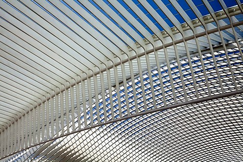 Roof detail of the concourse, Gare de Liege-Guillemin station by architect Santiago Calatrava, Liege, Wallonia or Walloon Region, Belgium, Europe