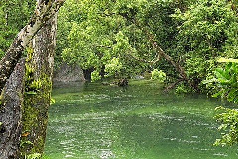 Babinda Creek, Wooroonooran National Park, Queensland, Australia