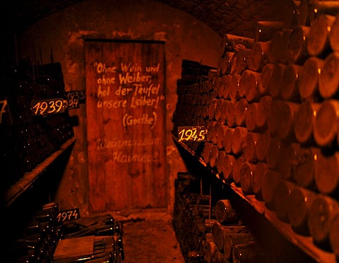 Very old wine cellar with a quote from Goethe, Ohne Wein und ohne Weiber holt der Teufel unsere Leiber, German for Without wine and women the devil will take our bodies!, Loisium World of Wine, Langenlois, Kamptal, Wachau, Lower Austria, Austria, Europe