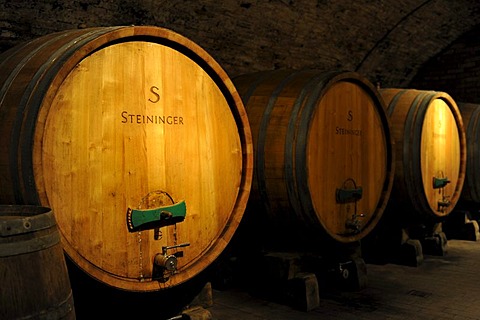 Old wooden barrels in a wine cellar, Loisium World of Wine, Langenlois, Kamptal, Wachau, Lower Austria, Austria, Europe