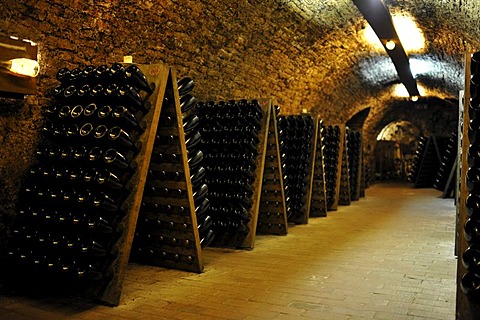 Very old bottles of wine in an old wine cellar, Loisium World of Wine, Langenlois, Kamptal, Wachau, Lower Austria, Austria, Europe