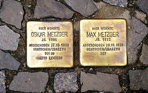 Stolpersteine, stumbling blocks as memorial plaques to commemorate Jewish victims of Nazism in Berlin, Sopienstrasse, Spandauer Vorstadt, Mitte, Berlin, Germany, Europe