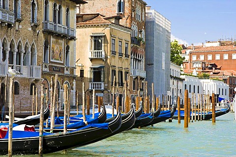 Gondolas on the Grand Canal, Canal Grande, Venice, Italy, Europe