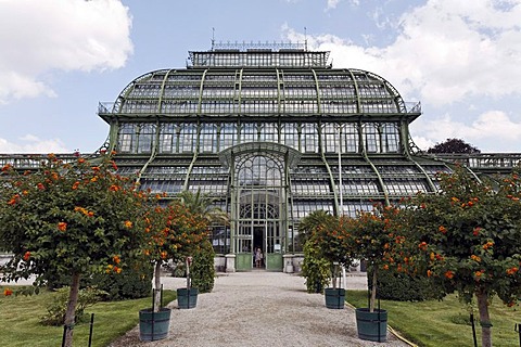 Palmenhaus greenhouse, historic iron structure, Schloss Schoenbrunn palace, Hietzing district, Vienna, Austria, Europe