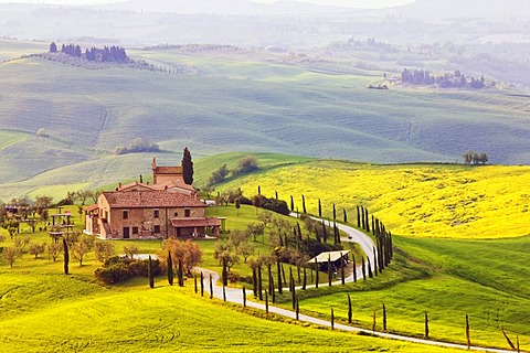 Country house, Asciano, Tuscany, Italy, Europe, PublicGround