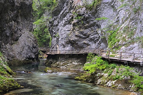 Wooden path in the Vintgar gorge, Slovenia, Europe