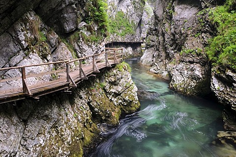 Track in the Vintgar Gorge near Bled, Triglav National Park, Slovenia, Europe