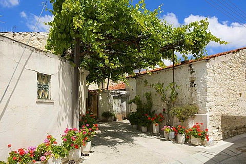 Alley in Omodos, Troodos Mountains, Southern Cyprus, Cyprus
